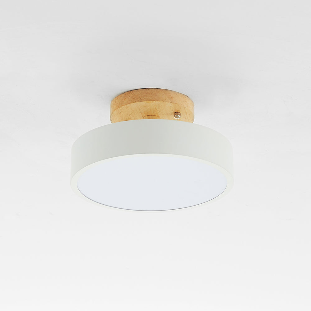 Modern LED Ceiling Light