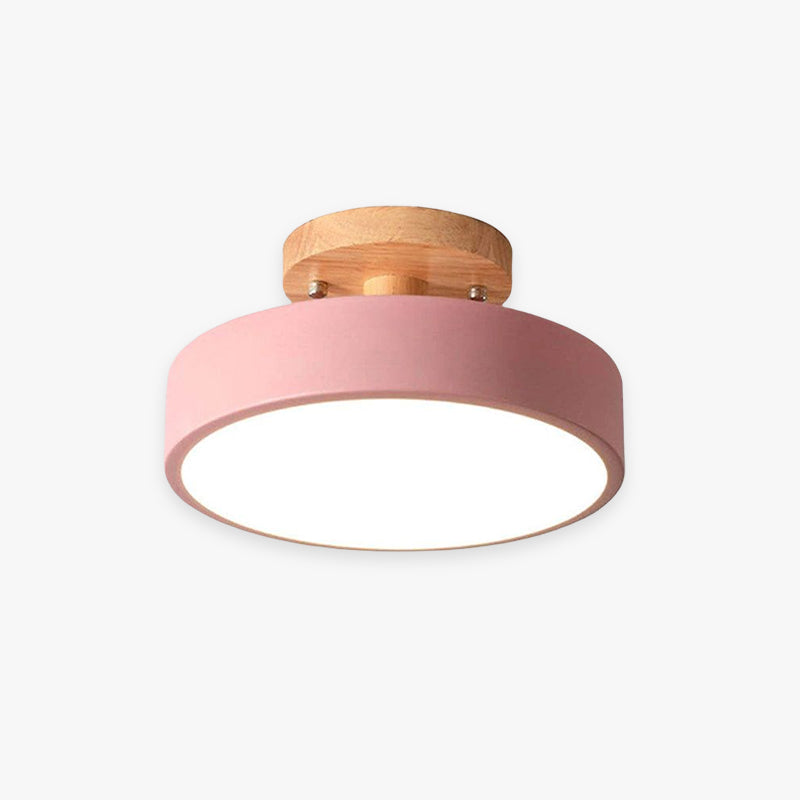 Modern LED Ceiling Light