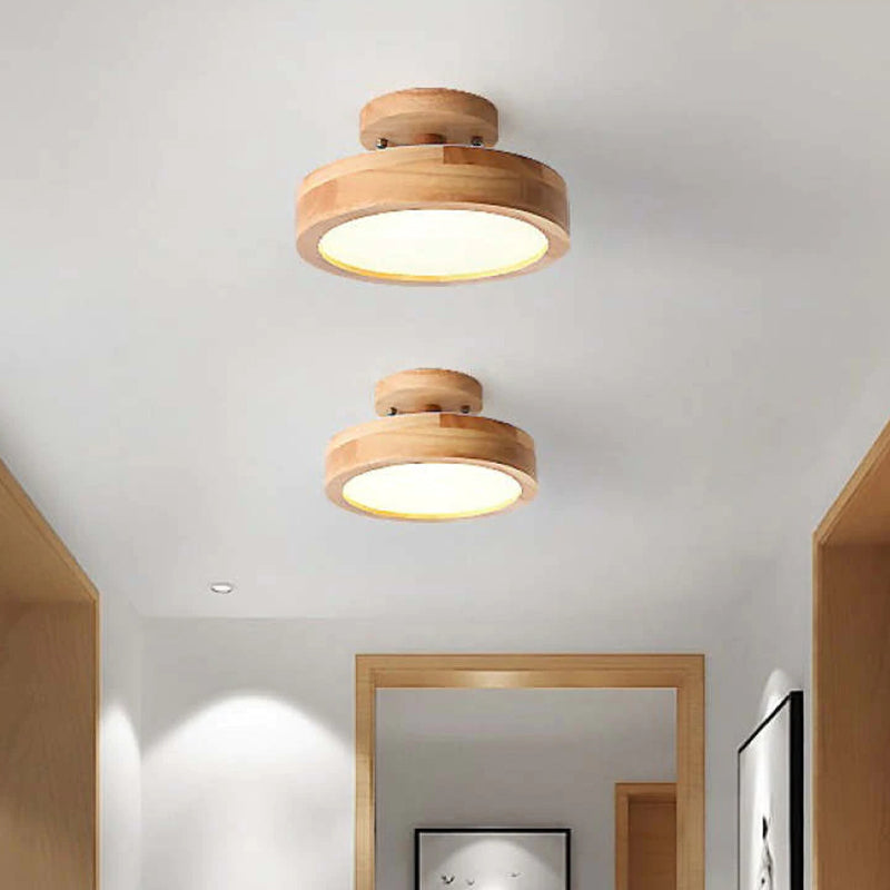 Modern LED Ceiling Light