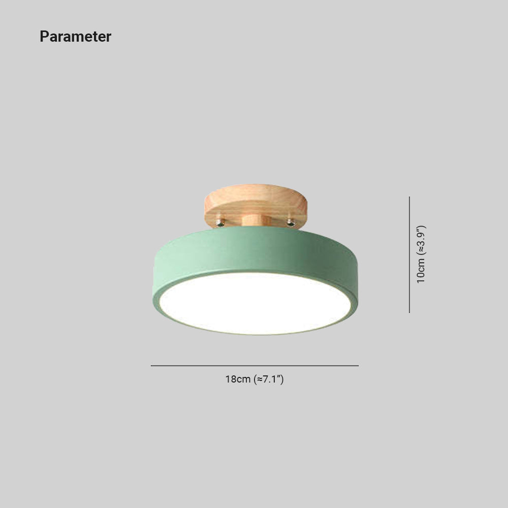 Modern LED Ceiling Light