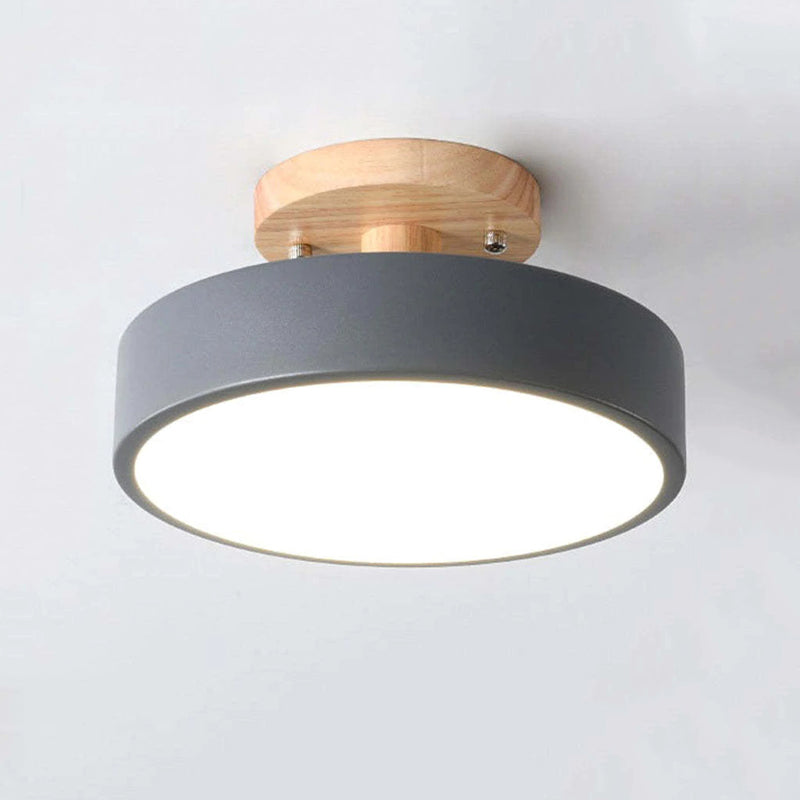 Modern LED Ceiling Light