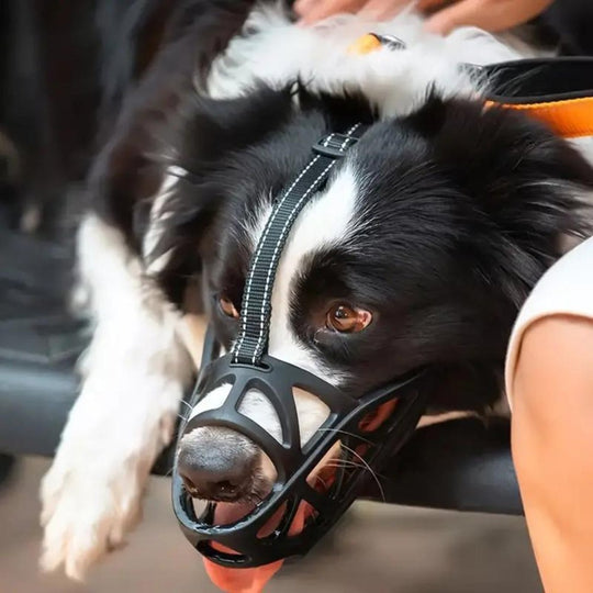 Dog Muzzle - Safe and Comfortable Design