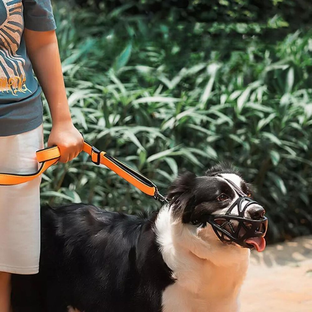 Dog Muzzle - Safe and Comfortable Design