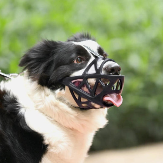 Dog Muzzle - Safe and Comfortable Design