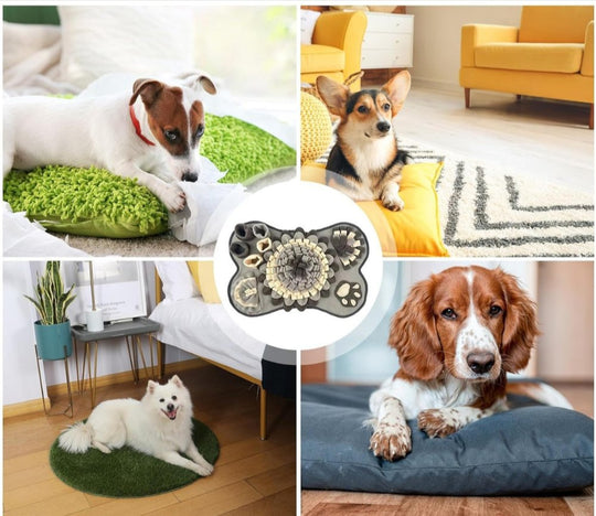 Dog Snuffle Mat