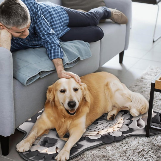 Dog Snuffle Mat