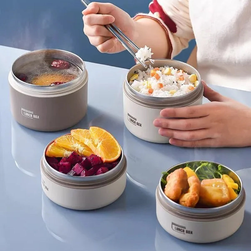 Multi-Layered Insulated Lunchbox with FREE Carry Bag