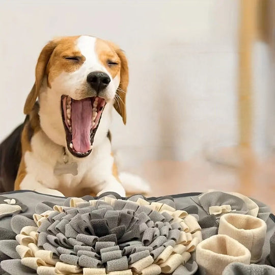 Transform Mealtime into a Sniffing Adventure – Snuffle Mat