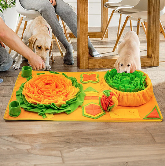 Snuffle Mat for Dogs