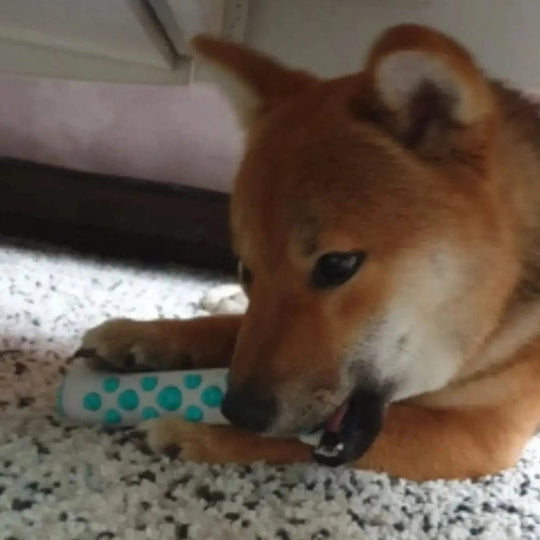The Ultimate Calming Dog Toy